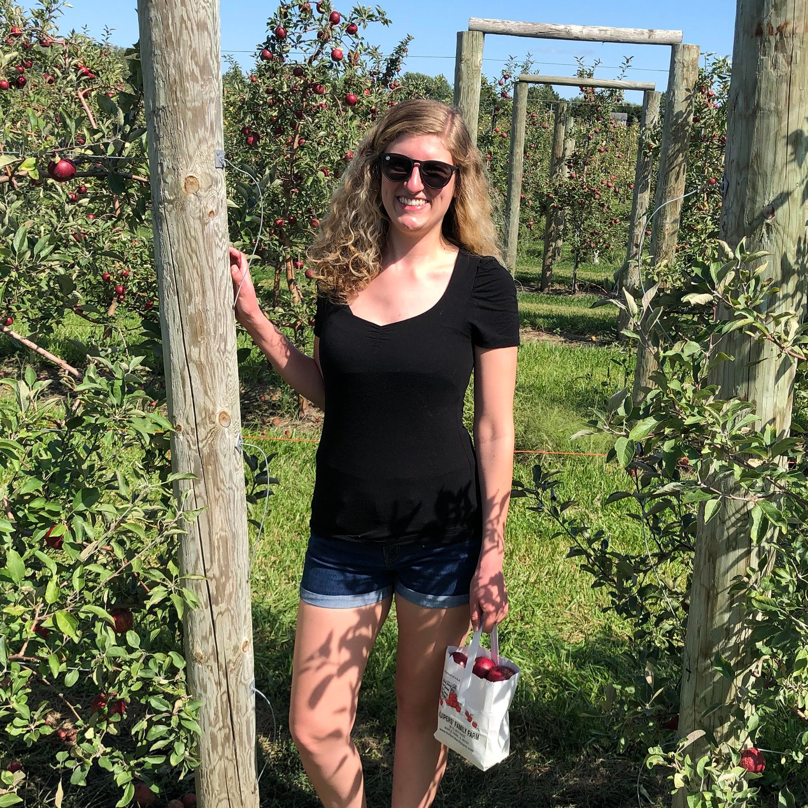 Cheryl Ambrosio Art Director